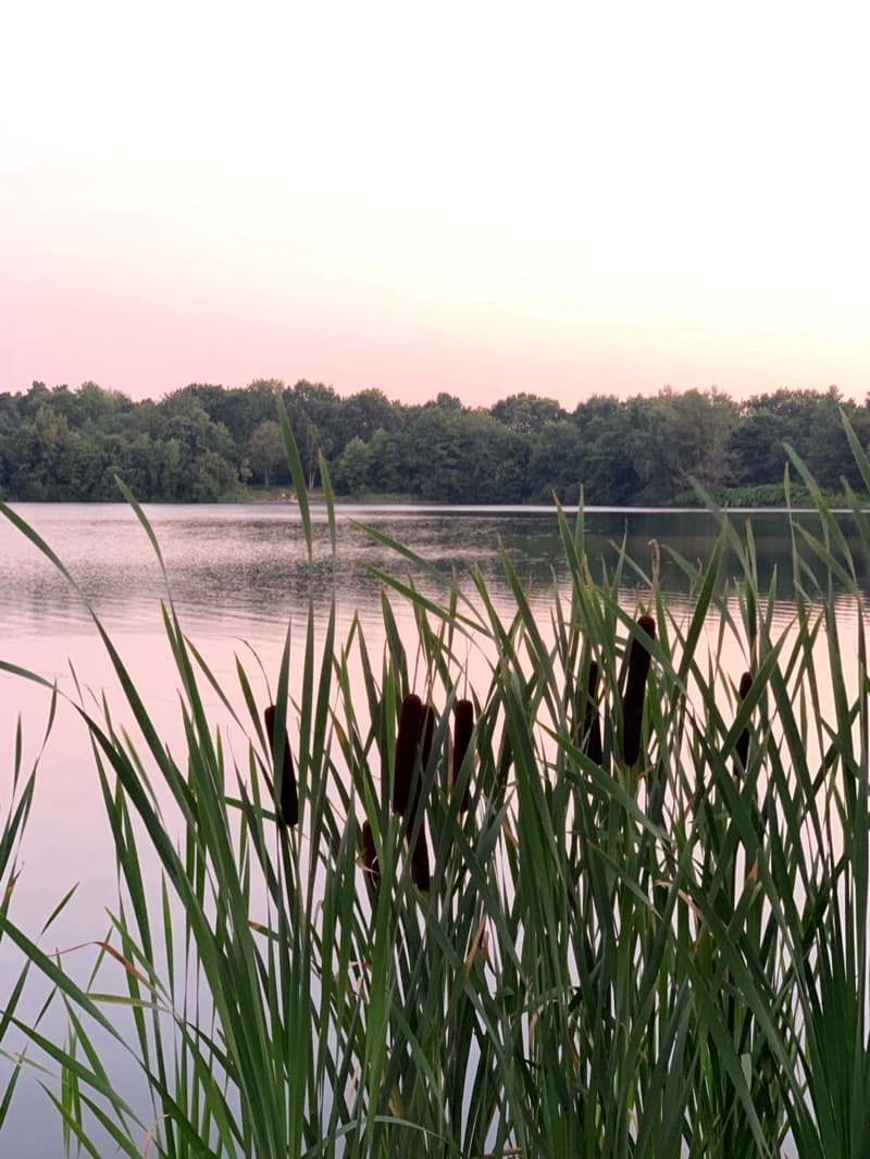 Ferienhaus Libelle 1